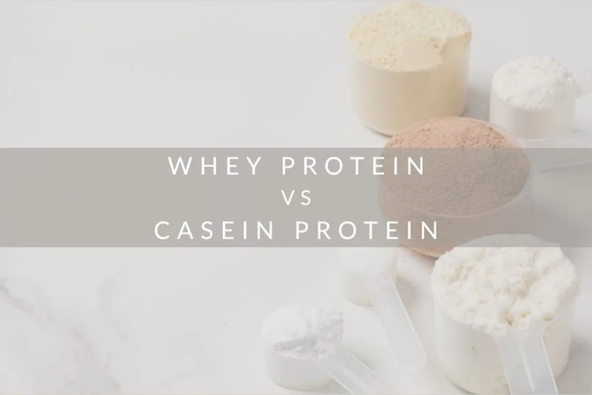 ホエイ vs カゼイン：違いを徹底解説！最適なプロテインの選び方