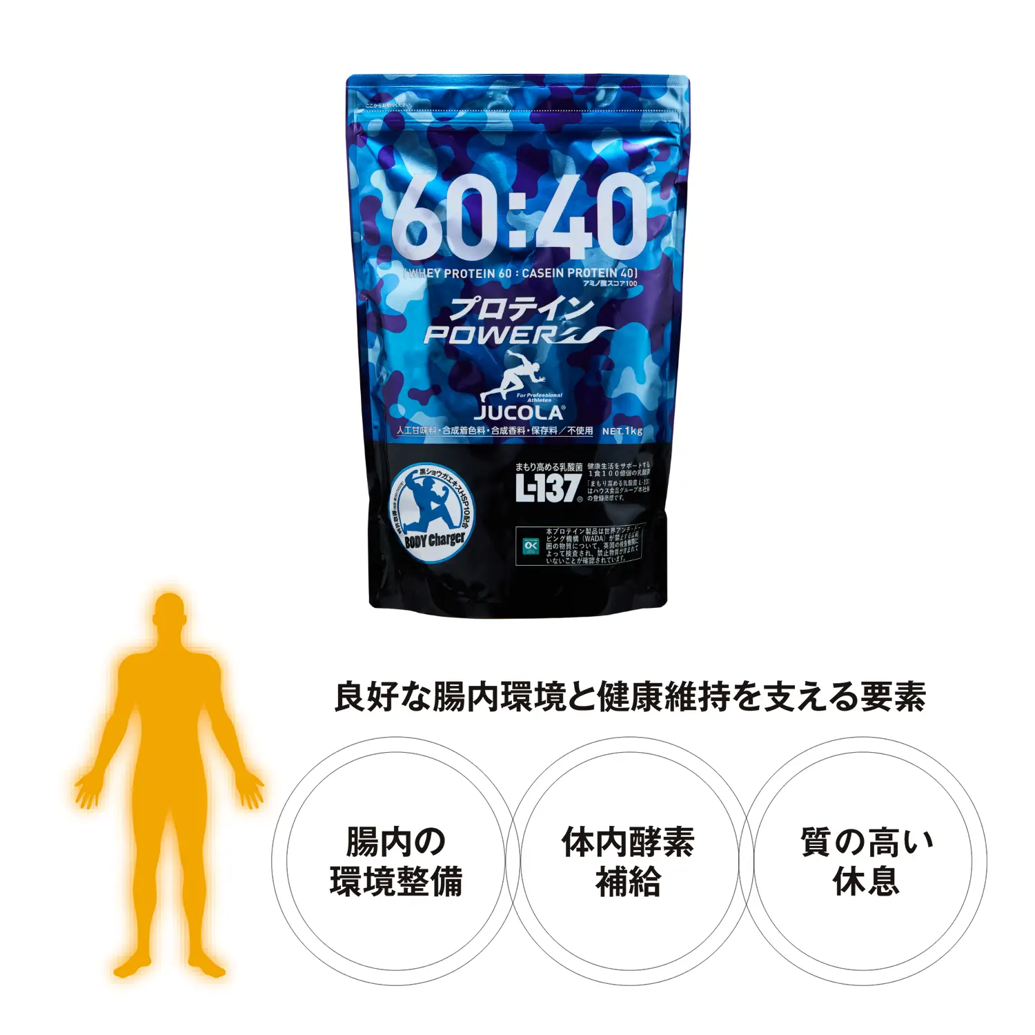 良好な腸内環境と健康維持を支える要素「腸内の環境整備」「体内酵素補給」「質の高い休息」